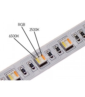 Taśma LED RGB CCT 12V 300LED SMD5050 IP20 5 metrów
