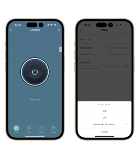 Gniazdko ZigBee TUYA HUE HA 3680W pomiar prądu