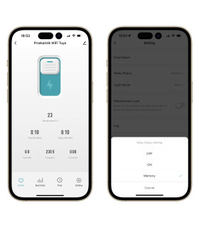 Przekaźnik WiFi TUYA 63A licznik prądu z zabezpieczeniem