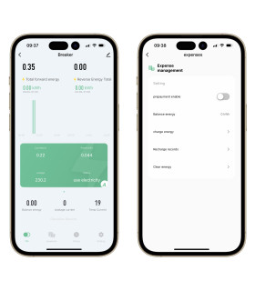 Jednofazowy licznik energii 2-kierunkowy PV przekaźnik 100A WiFi TUYA