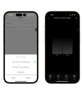Podwójny Przekaźnik Włącznik 10A ZigBee TUYA Smart Home Assistant