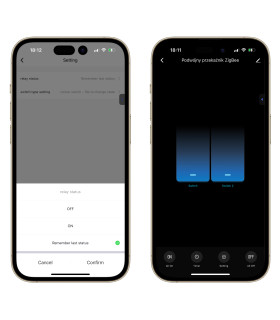 Podwójny Przekaźnik Włącznik 10A ZigBee TUYA Smart Home Assistant