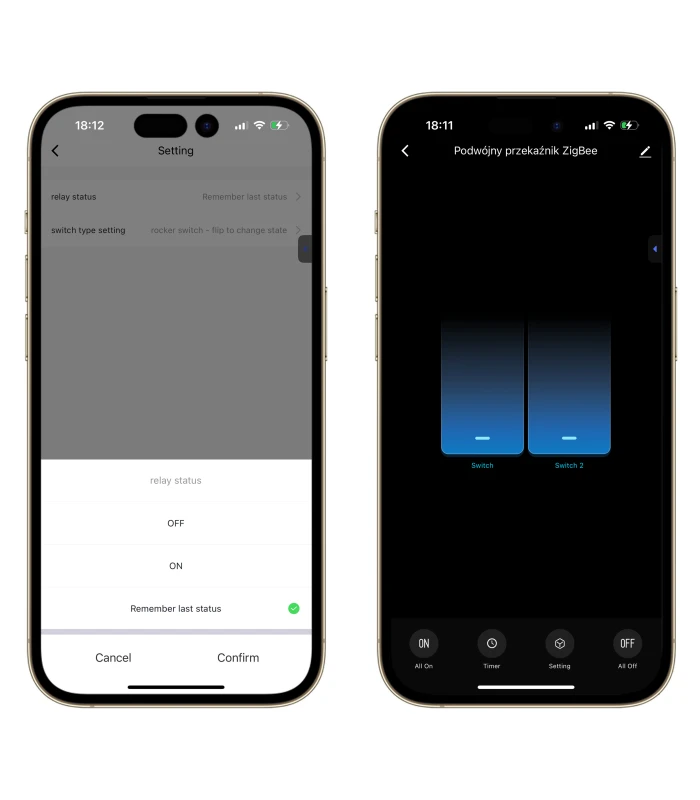 Podwójny Przekaźnik Włącznik 10A ZigBee TUYA Smart Home Assistant
