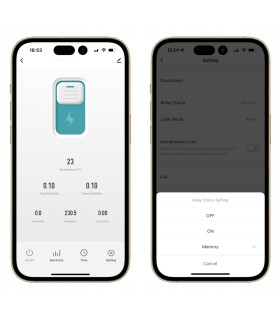 Przekaźnik ZigBee 63A pomiar prądu bezpiecznik TUYA Smart Home Assistant