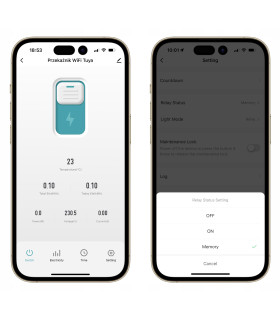Przekaźnik WiFi 16A WODOODPORNY puszka IP67 TUYA Smart Life pomiar prądu
