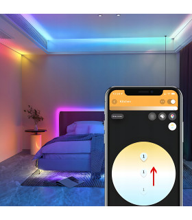 Sterownik ZigBee + RF RGBIC LED 5-24V WS2811 WS2812 Home Assistant TUYA HUE