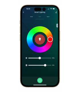 Sterownik ZigBee + RF RGBIC LED 5-24V WS2811 WS2812 Home Assistant TUYA HUE