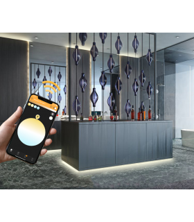 Sterownik ZigBee do pasków LED biały WW CW Hue