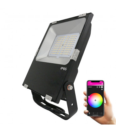 Naświetlacz ZigBee Philips Hue