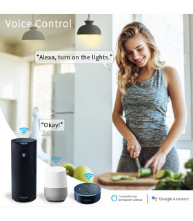 Podwójny moduł przekaźnika ZigBee Tuya i Smart Life do puszki