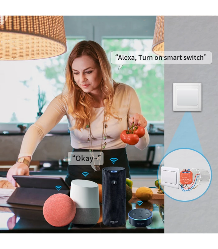 Pojedynczy moduł przekaźnika ZigBee Tuya i Smart Life do puszki